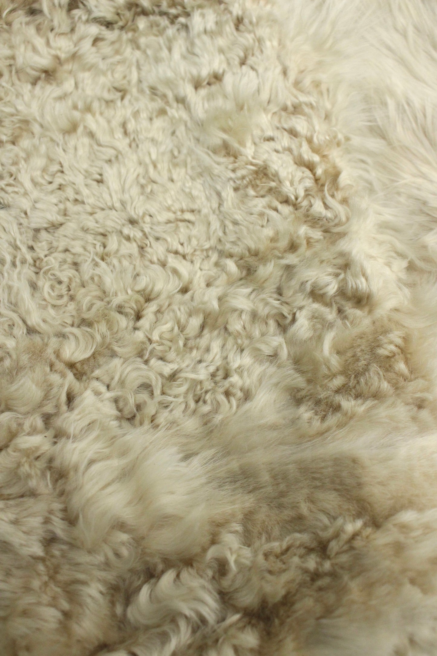 F/W06 Ann Demeulemeester Fur Scarf/Vest